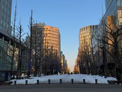 -北海道厅旧本厅舍(旧本庁舎)