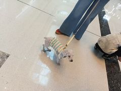 -万达广场(龙湖店)