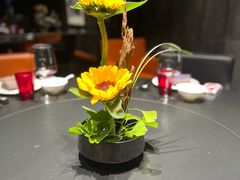 -曲阳花鸟市场(曲阳路店)