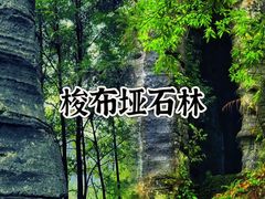 -梭布垭石林景区