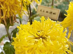 -杭州植物园