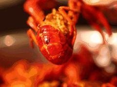 -文和友老长沙龙虾馆(化龙池店)