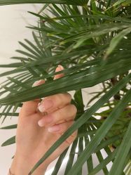 -美愈美肤MEIYU SKIN