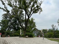 -乌山风景区
