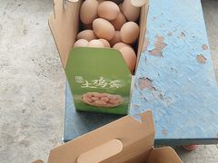 -马陆小张葡萄园农家乐