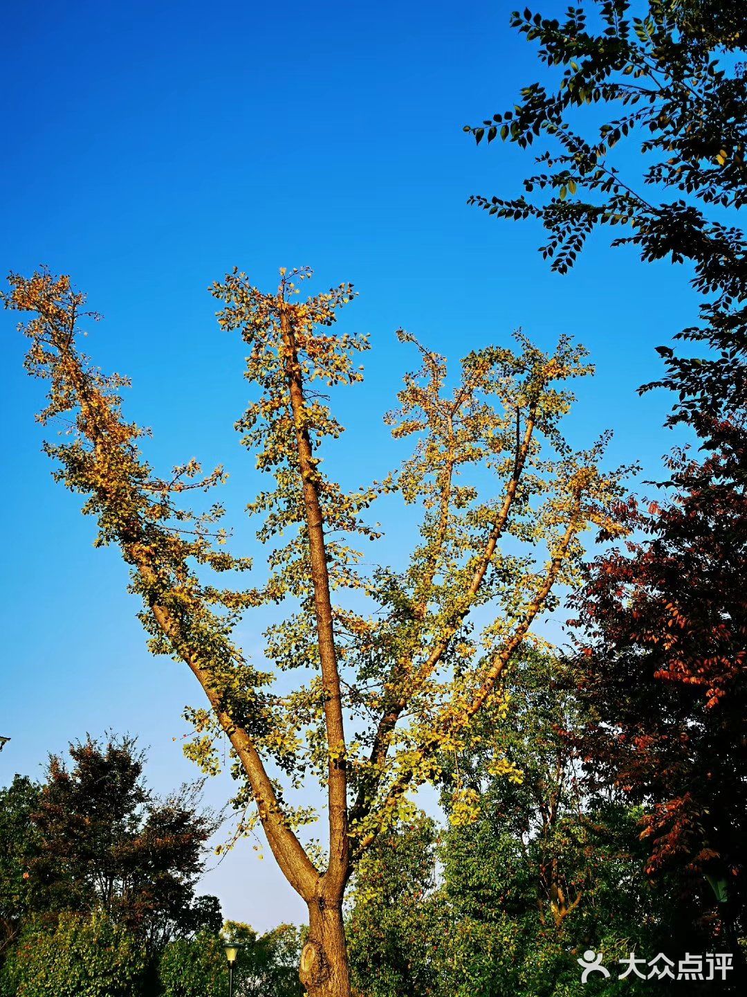 皇国山市民公园