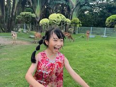 -东南花都花博园