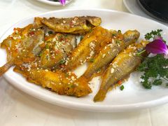 -台山第一家兴华黄鳝饭·黄鳝婆(开平店)
