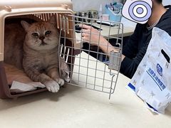 -宠颐生宠物医院外科·内科·皮肤科·影像科(石龙店)
