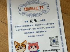 -芭比堂动物医院·CT·微创中心(新顺分院)