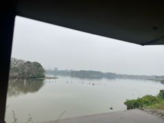 -海珠湖公园
