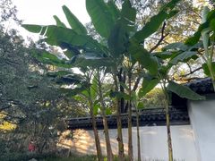 -秋霞圃