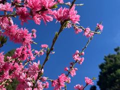 -春晖园度假酒店温泉