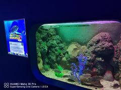 -重庆欢乐海底世界