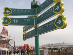 -荷兰花海