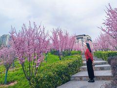 -桂花寨(北碚二店)