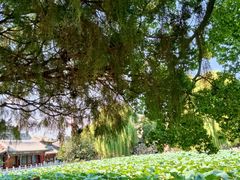 -莲池书院博物馆