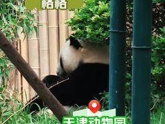 -天津市动物园