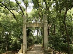 -上海佘山国家森林公园天马山园