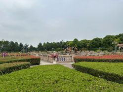 -伊莎贝拉婚礼庄园(顾村店)