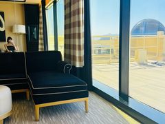 -拉斯维加斯永利酒店