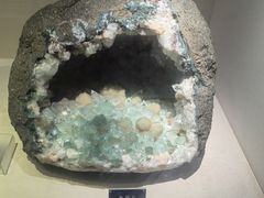 -安徽省地质博物馆