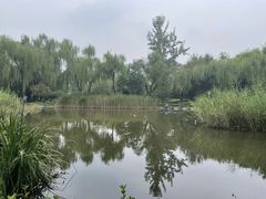 -木塔寺遗址生态公园