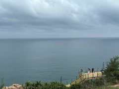 -广东惠东海龟国家级自然保护区