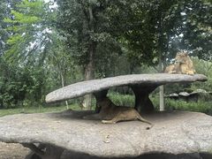 -北京野生动物园