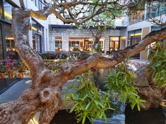 -寻味顺德·顺峰山庄(大良店)