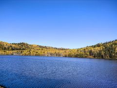 -五营红松林海景区