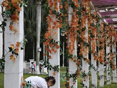 -南宁花花大世界景区