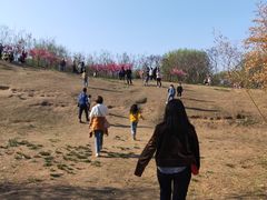 -廊坊市自然公园