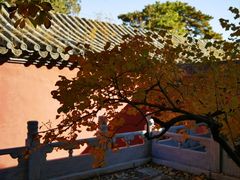 -潭柘寺景区