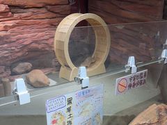 -正佳雨林生态植物园