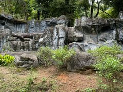 -清迈夜间动物园