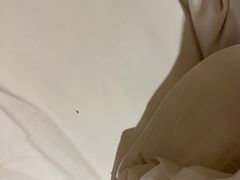 -厦门威斯汀酒店