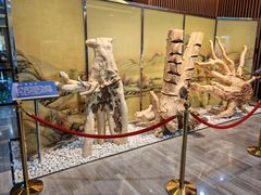 -香市公园-中国沉香文化博物馆