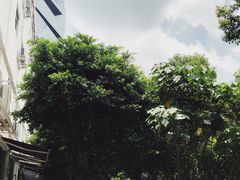 -ADO KAFE(大学城店)