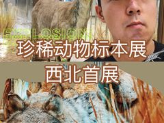 -龙湖西安曲江天街