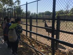 -北京麋鹿生态实验中心