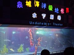 -泉城欧乐堡海洋极地世界