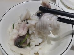-港升鱼师傅·中山脆肉鲩