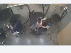 -帕帕拉兹宠物(亚洲旗舰店)