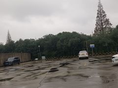 -光明驾校·学车·陪驾(川沙店)
