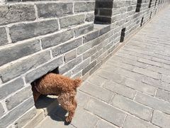 -鸡鸣驿古城
