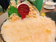 象拔蚌-协成海鲜火锅(海洋花园店)