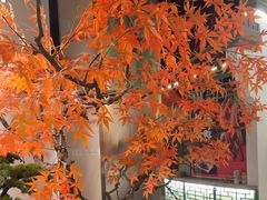 -荷塘秋月·本帮江浙菜(国权路店)