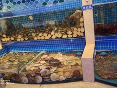 水产区-乔哥铭洋海鲜自助(皇城恒隆广场店)
