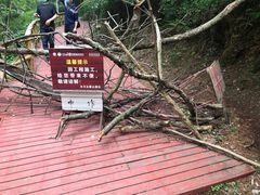 -木兰云雾山